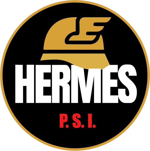 Logo HERMES